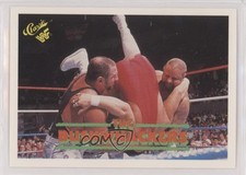 1990 Classic WWF The Bushwhackers Bushwhacker Butch Bushwhacker Luke #47 uk5
