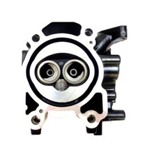 Parsun Außenborder Ersatzteil F2.6-04040100 Zylinderkopf CYLINDER HEAD ASS'Y