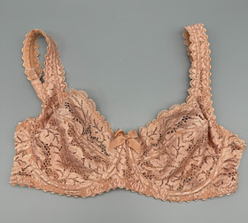 Antinea Lise Charmel 32D Beige Nude Semi-lined Underwired Embroidered Lace Bra
