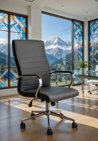 BüRosessel Schwarz Mit Ergonomischer RüCkenlehne Und Polsterung