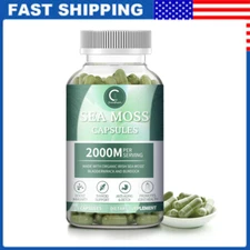 Organic Sea Moss Capsules, Irish Sea Moss bladderwrack Thyroid Immune Support