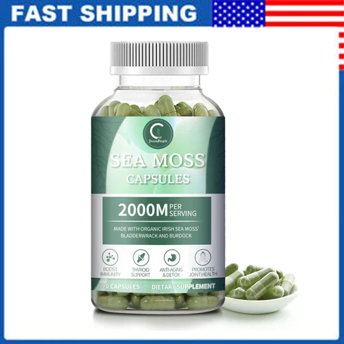 Organic Sea Moss Capsules, Irish Sea Moss bladderwrack Thyroid Immune Support