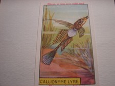 CHROMOS. PUBLICITAIRE. BLEDINE JACQUEMAIRE. CALLIONYME LYRE.