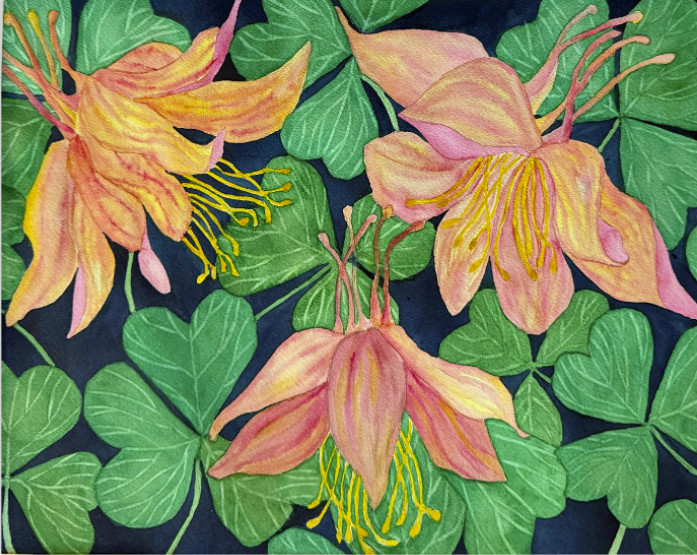 PAINTING WATERCOLOR ORIGINAL 11X14 and DOUBLE MAT 16X20 COLUMBINE FLOWER ORANGE