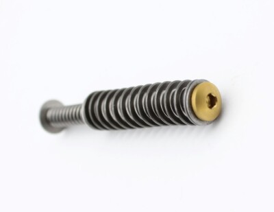 Stainless Recoil Assembly for Taurus GX4 Gold Titanium Nitride Finish