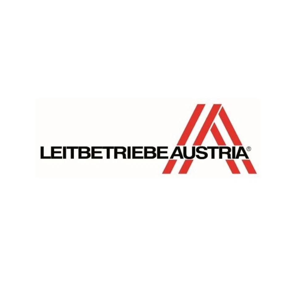 Riess Kasserolle 18 cm Kochtopf Topf aus Emaille Suppentopf Induktion 1.5 Liter - Bild 3 von 4