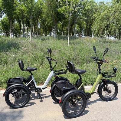 FAFREES Elektro-Dreirad 20 Zoll E-Bike 250W 48V 3-Rädern Elektrofahrrad mit Korb