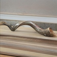 Amazing Kudu Yemenite SHOFAR Horn Kosher Half Natural From Israel 30-32" Judaica