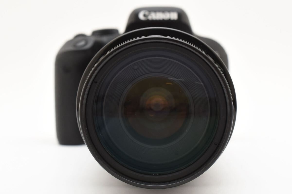 canon kiss x9i + Canon 100-300mm 1:5.6