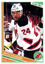2013-14 O-Pee-Chee #335 Bryce Salvador