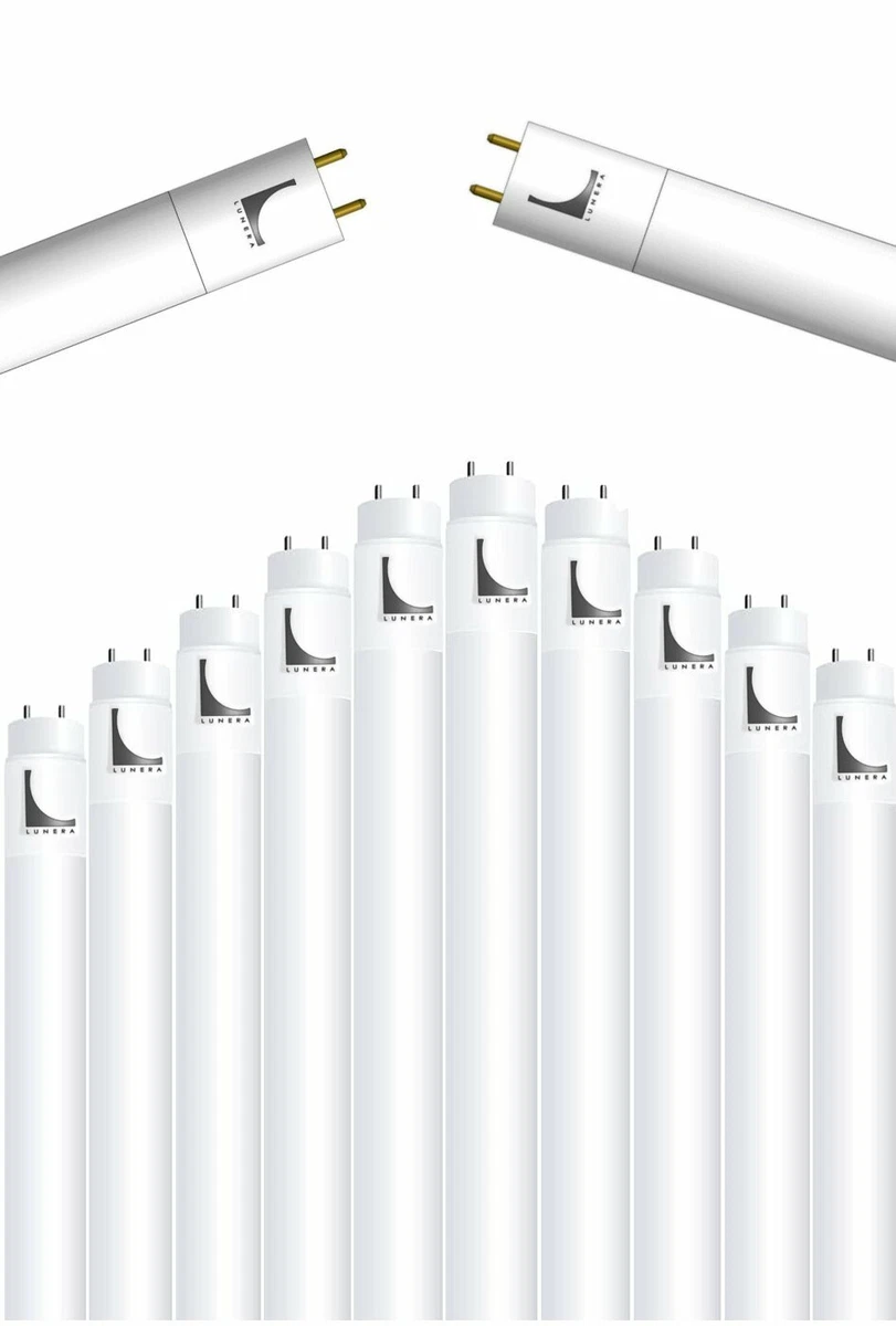 Lunera t8 sale led 4ft