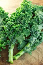 200+ Kale Seeds Dwarf Blue Curled Scotch Kale Vate Blue Curled Kale USA