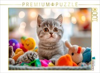 Calvendo Puzzle KäTzchen Im Spielzeugparadies | 1000 Teile Lege-GrößE 64 × 48 Cm