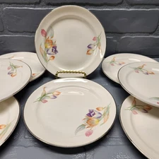 Hall China 6-1/4" Bread & Butter Plates, TULIP pattern -  10 available!
