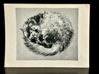 1930s-1950s Signed Portfolio Cat Kitten Drawings (15) by Clare Turlay Newberry — photo 10