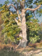 Tree Study by Rosa Bonheur Museum Giclee Art Print Ships Free