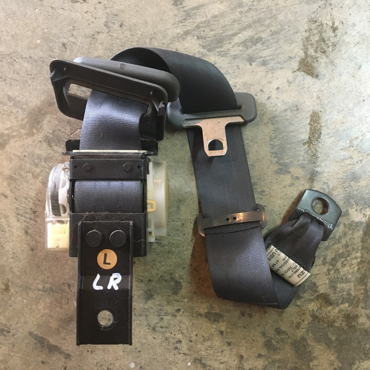 ベル　psa9 ポケモンカードベルSR PSA9