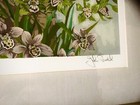 JOHN POWELL ‘PARROT AND ROOF TOPS’ art PRINT limited edition 183/295 FRAMED!!! — photo 3