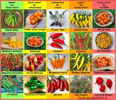 Chili Samen 20 Sorten Schärfegrad 1 bis 10 Charapita Carolina Reaper Saatgut