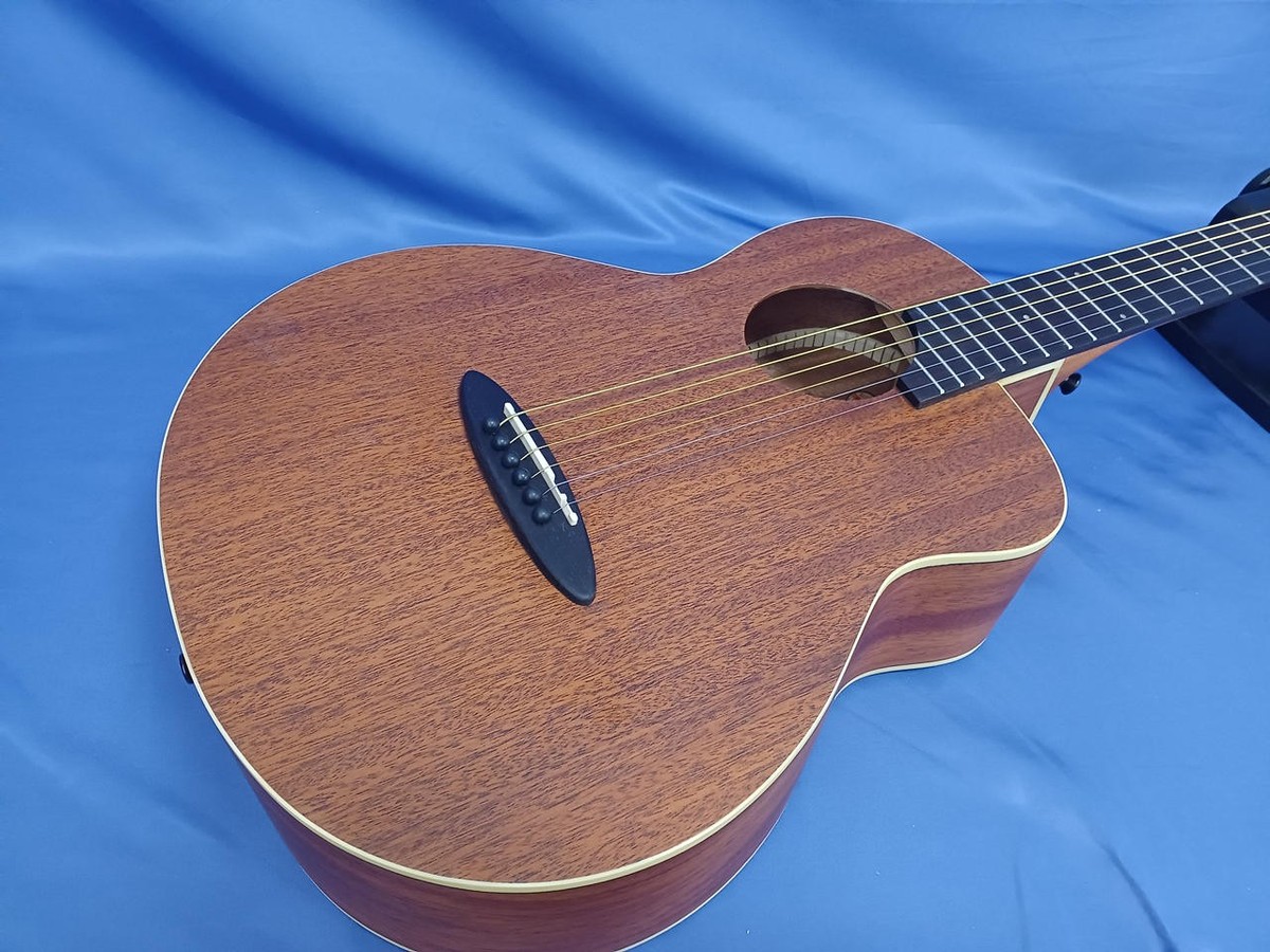 ANUENUE BirdGuitar M2 Acoustic Guitar | eBay