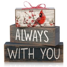 Sympathy Gifts for Loss of Loved One Cardinal Memorial Tabletop Decor