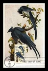 DR JIM STAMPS US MAXI CARD COLUMBIA JAY BY AUDUBON AIR MAIL FIRST DAY ISSUE