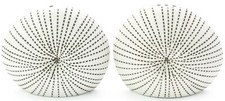 Handmade Porcelain Salt and Pepper Shakers Sea Shell Art Kitchen Decor -DIVA SNP