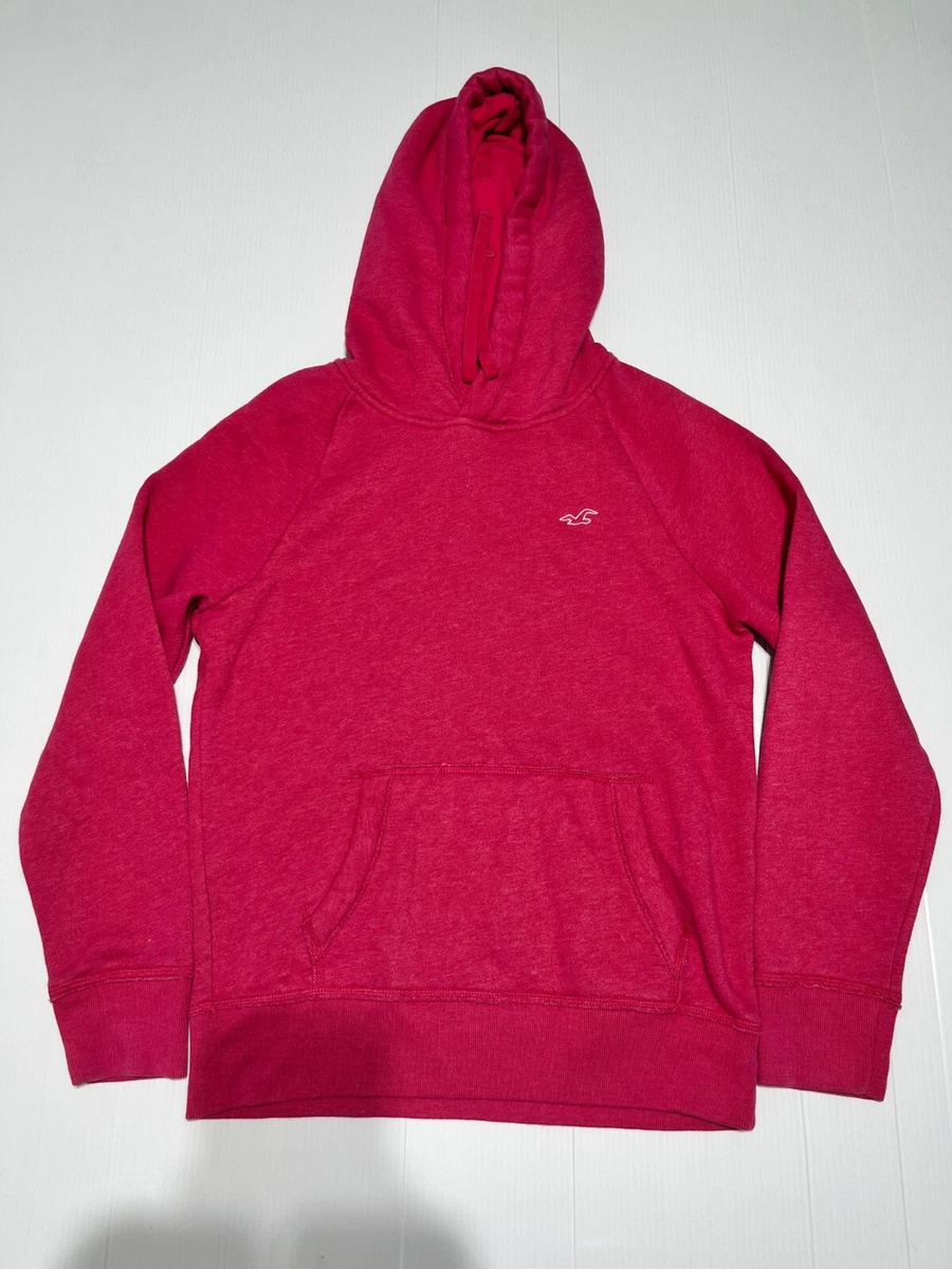 Hollister pink hoodie mens sales