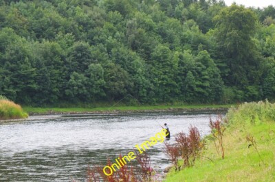 Photo 6x4 Fishing on the Tweed, Mertoun Maxton/NT6130 Fly-fishing on the c2013