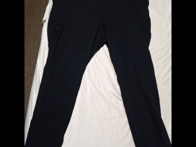 torrid size 4 plus size pants 23 inseam