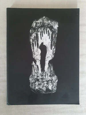 Joel Morrison Gebundene Ausgabe – 1. Januar 2012 - Bild 1 von 4