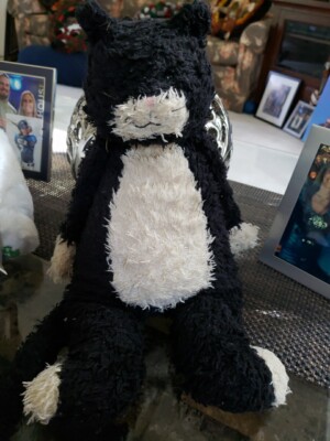  Bunglie Black Kitten S ジェリーキャット Jellycat Medium Bunglie Black Kitten 16