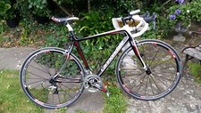 cannondale synapse carbon disc 54cm
