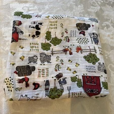 NO JO NoJo Baby Blanket Multicolor Pakistan 47”x 47” Farm Chickens Pigs, Sheep