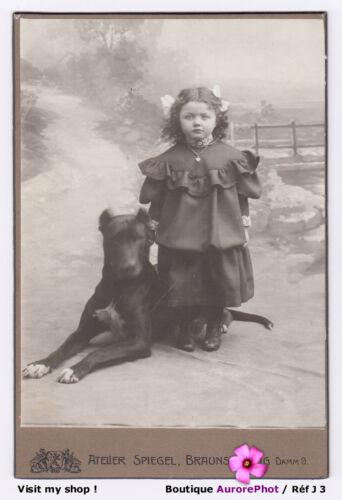 FILLETTE ALLEMANDE & SON GROS CHIEN, DOG, ANIMAL, CDV CABINET à BRAUNSCHWEIG-J3 - Photo 1 sur 2