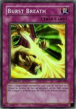 YuGiOh Burst Breath SKE-EN049 Common Englisch NM 1st
