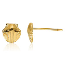 14K Solid Yellow Gold Scallop Shell Stud Earrings