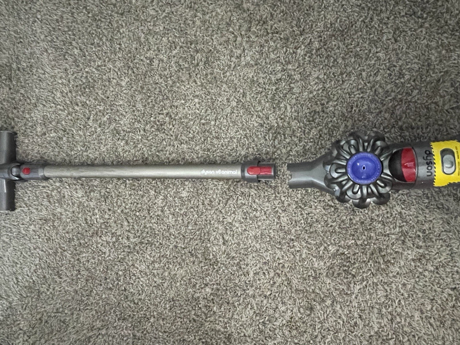 Dyson V8 Animal Cordless Vacuum Cleaner in Iron - Powerful Pet Hair Removal  