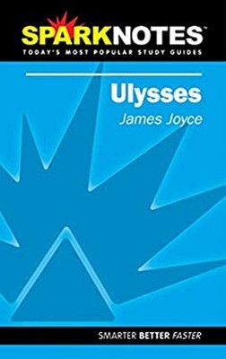 Ulysses : Notes Paperback James Joyce