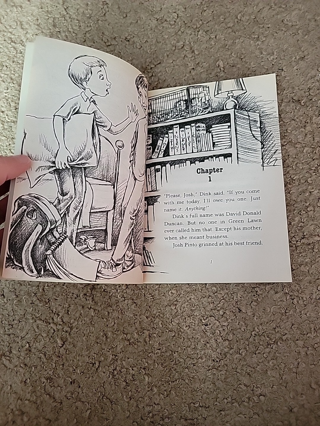 Picture 9 of 24