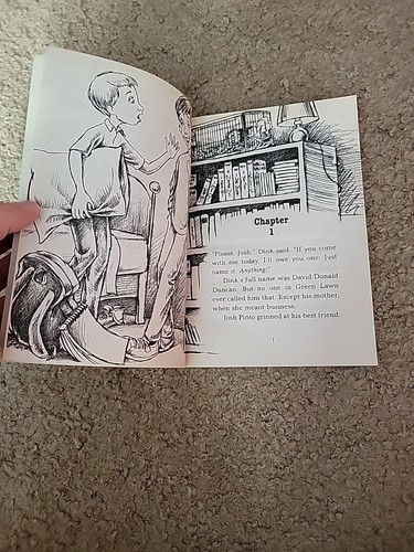 Complete 26 A To Z Mysteries + Specials+ Complete 12 Calendar Mysteries Ron Roy - Picture 9 of 24