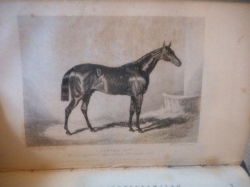 The New Sporting Magazine Volume 17 6 issues plates July-Dec. 1839 horses fish - Imagen 6 de 11