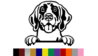 Peeking German Shorthaired Pointer Vinyl Decal Sticker  | Car | Window | Laptop