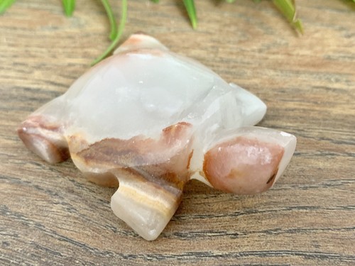 Onyx Turtle Animal Natural Stone Carvings Feng Shui Good Luck Figurines Gift - Picture 10 of 12