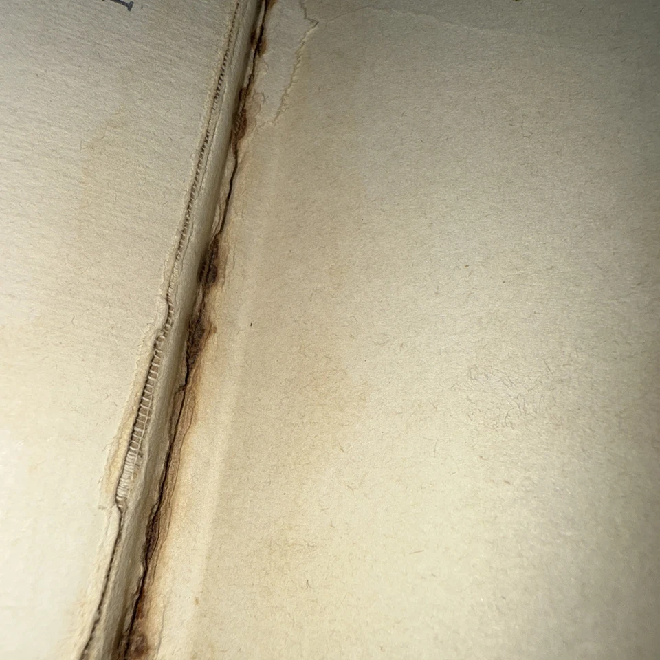 The Purple Prince of Oz Ruth Plumply Thompson L. Frank Baum Dust Jacket 1951 Foto 4 de 4