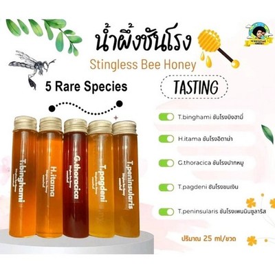100% Pure Stingless Bee Honey Discovery Set   5 Rare Species x 25ml   Nature's H