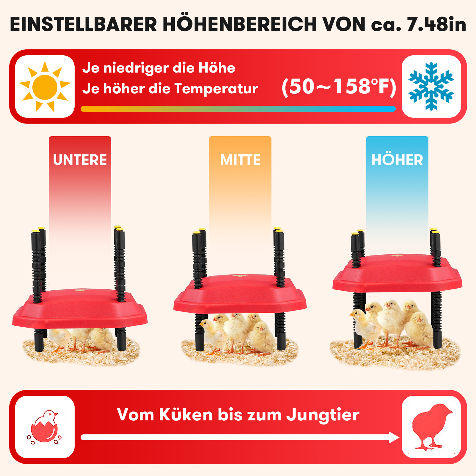 Bild 9 von 11