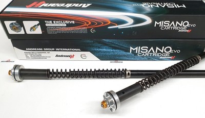 HYDRAULIC CARTRIDGE FORK ANDREANI MOTO MORINI R1200 SPORT 2005-11
