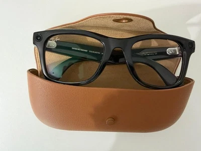 Ray-Ban Meta Wayfarer