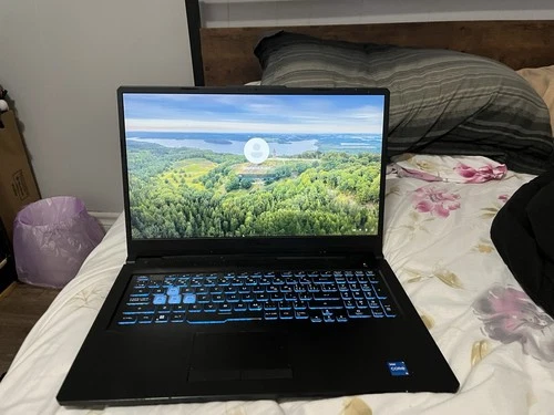 asus tuf a17 ryzen 5